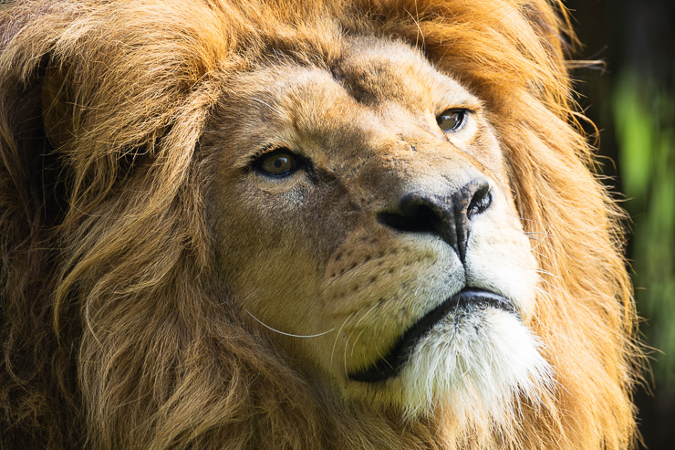 Eindhoven Zoo
