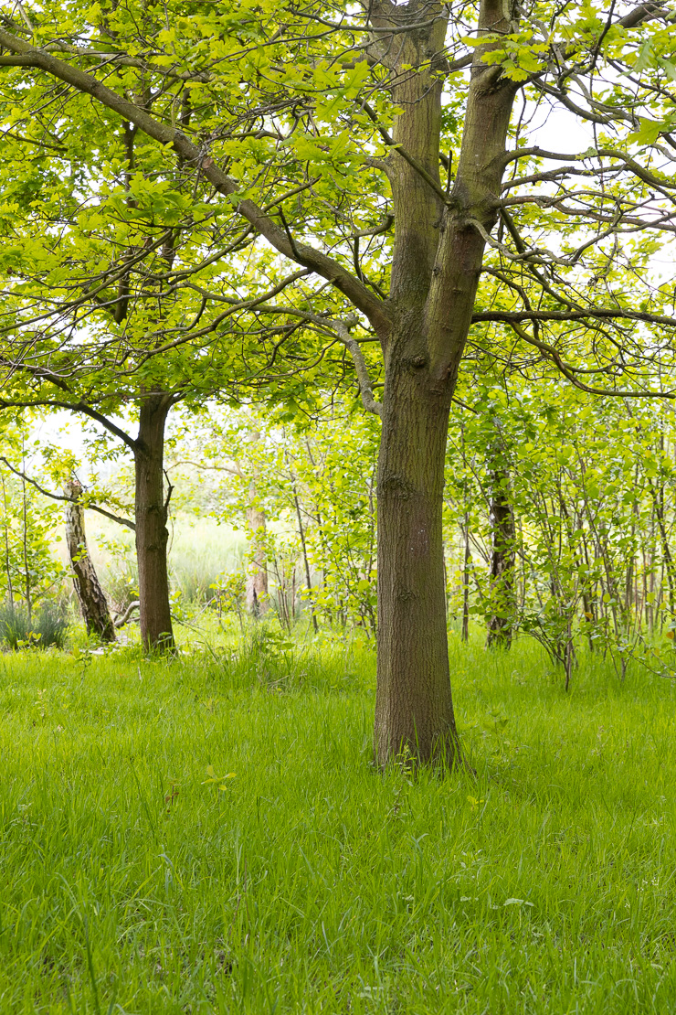 Broekpolder