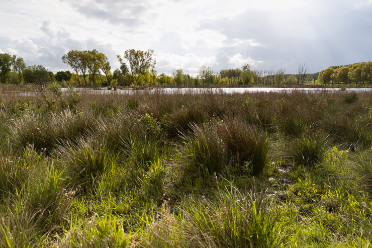 Natuur