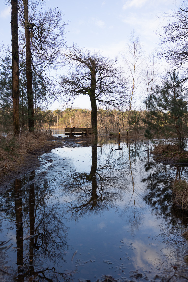 Oisterwijkse bossen